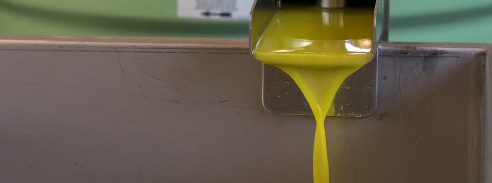 VII Convegno Nazionale dell’Olivo e dell’Olio