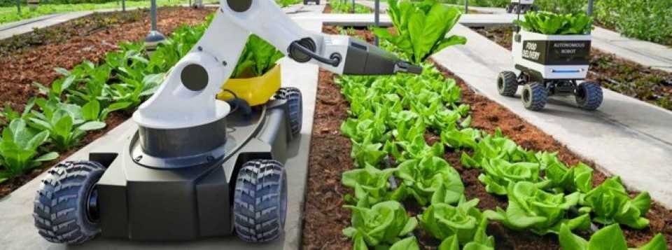 Giornate Tecniche SOI 2026 - Bari